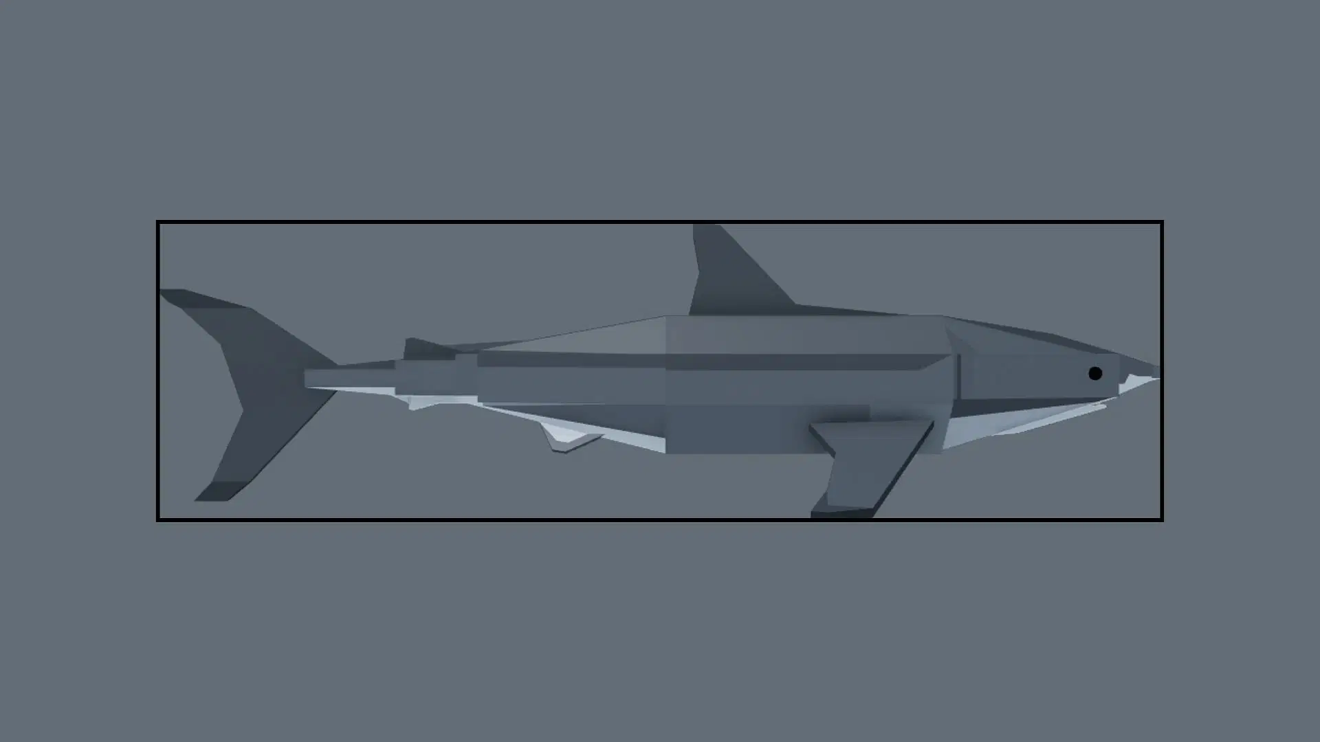 Great White Shark