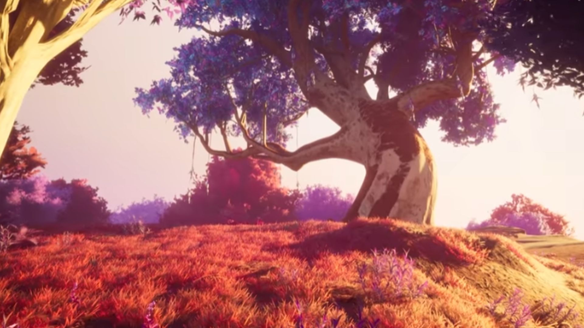 You'll find the deer out in the wild (Source: Jagex Ltd.)