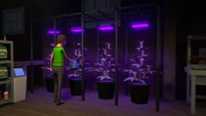 Schedule 1: All Cartel Dealer Locations - Deltia's Gaming