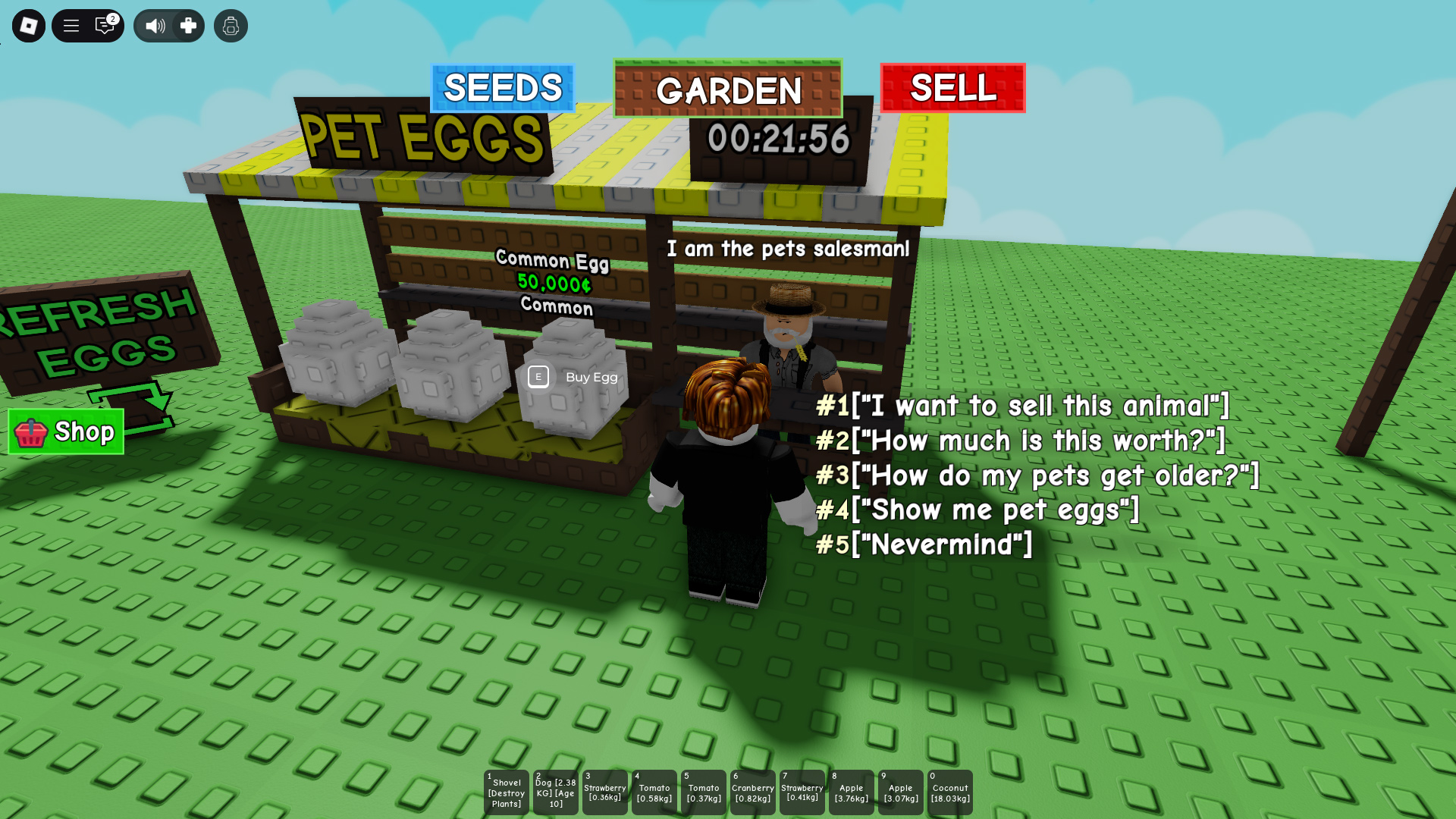 Purchase eggs from Raphael. (Image via Roblox Corporation)