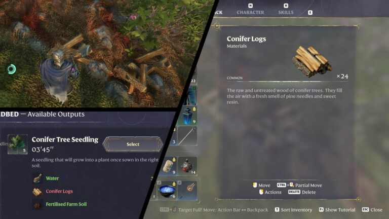 Conifer Logs in Enshrouded guide feature image