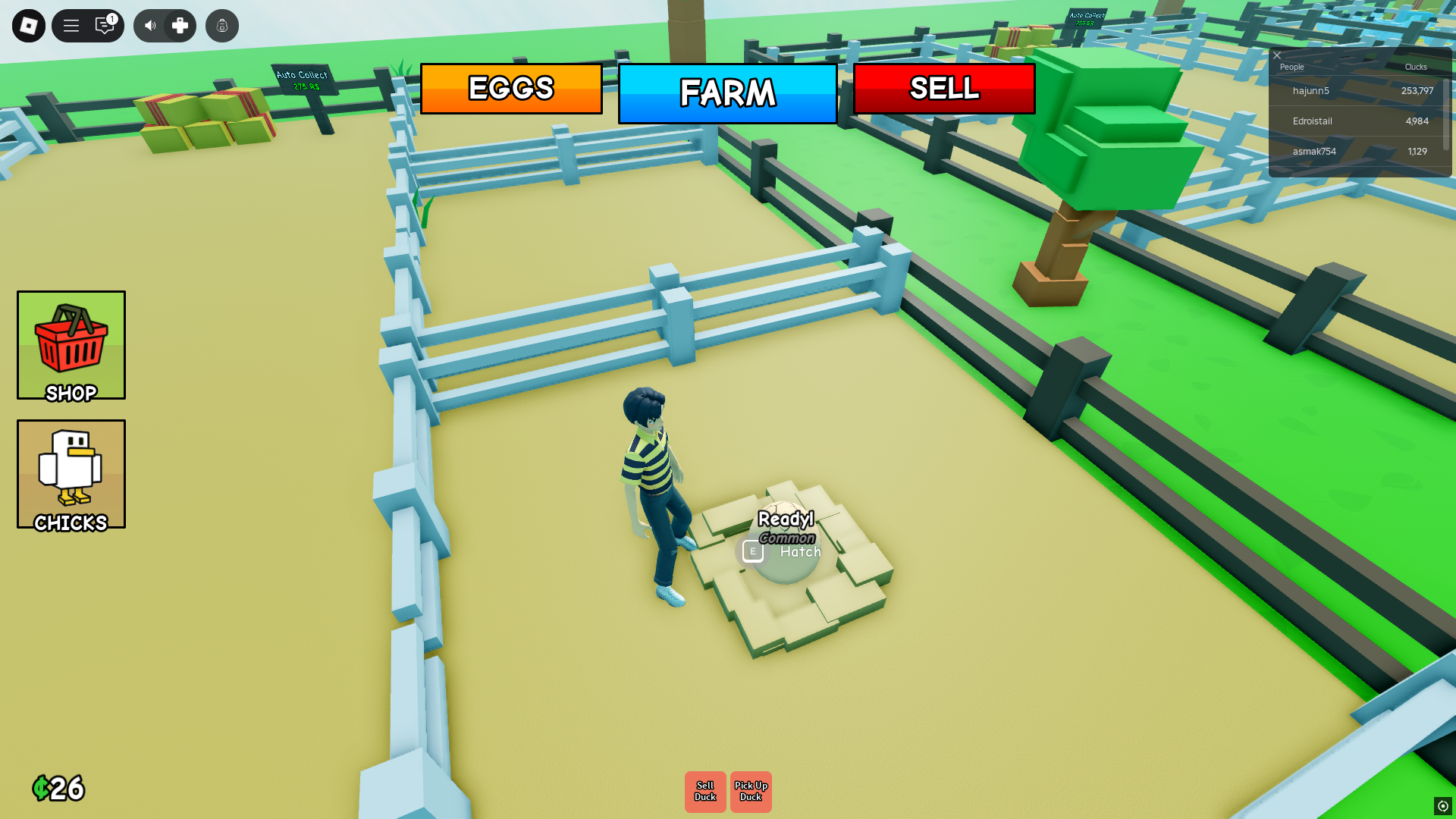 Placing egg (Image via Roblox)