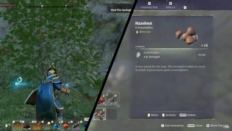 Enshrouded Hazelnut farm location guide feature image