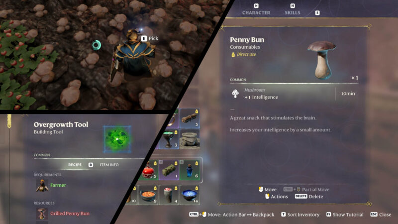 Enshrouded Penny Bun farm location guide feature image