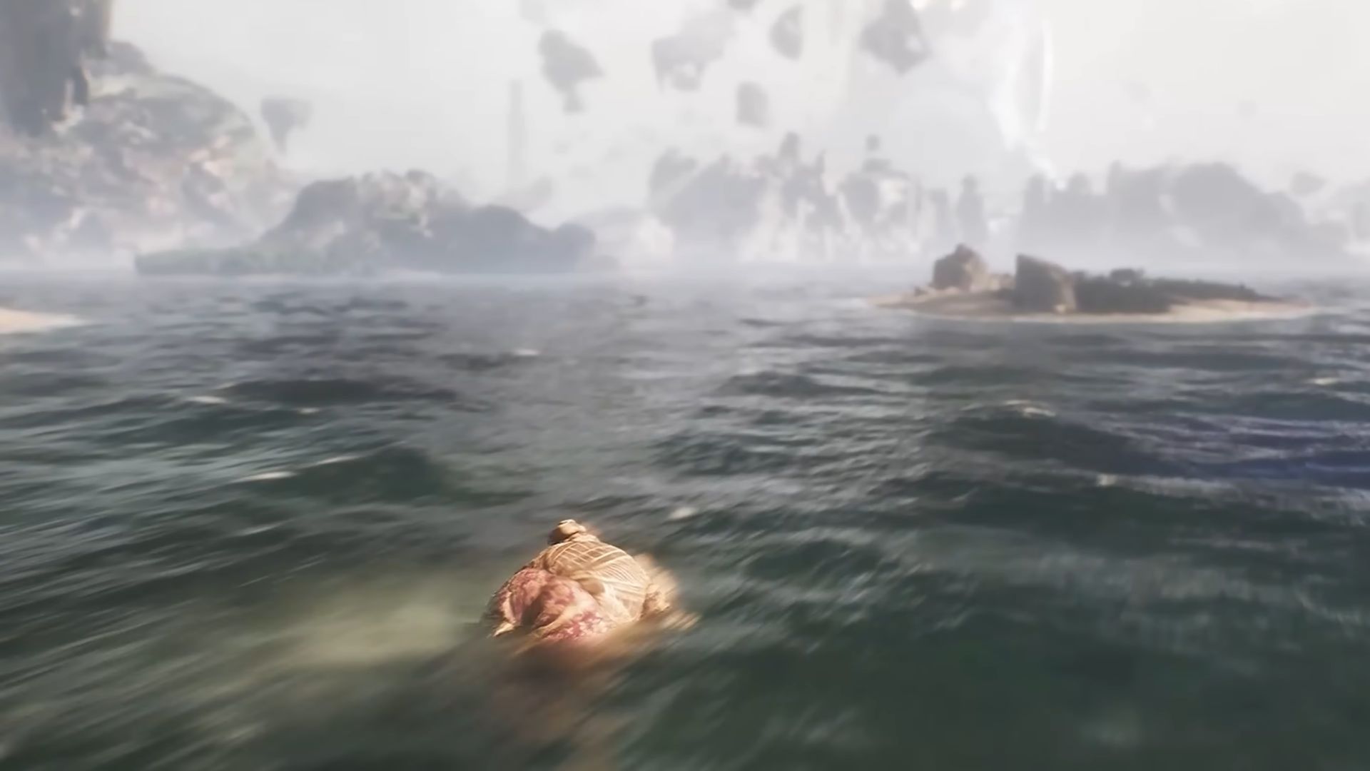 Esquie swimming ability