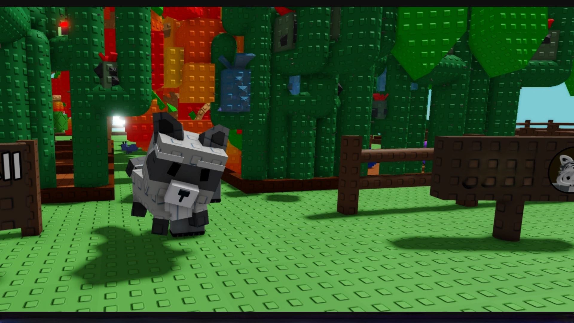 raccoon (Image via Roblox)