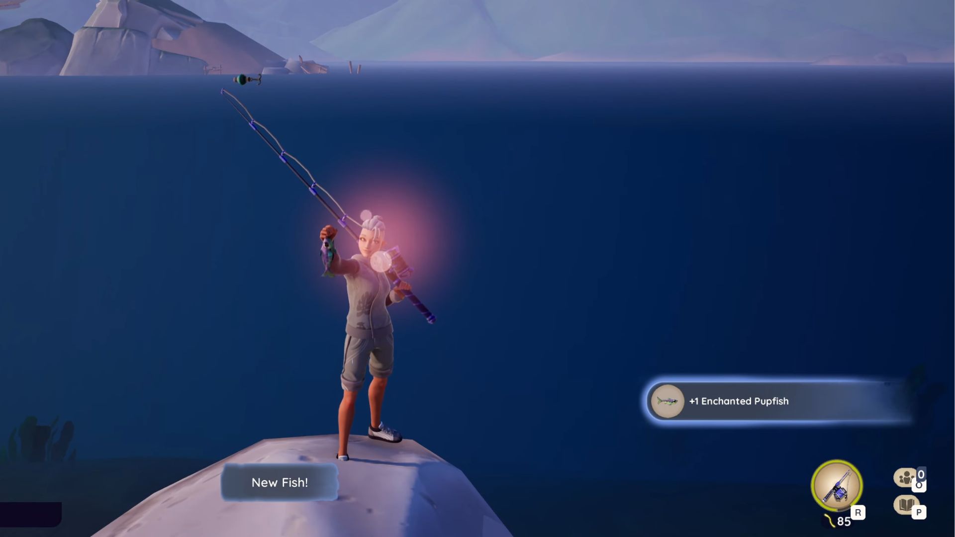 Catching an Enchanted Pupfish