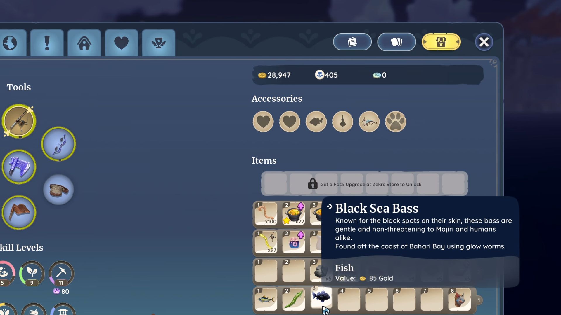 Black Sea Bass appears only on the coast of Bahari Bay