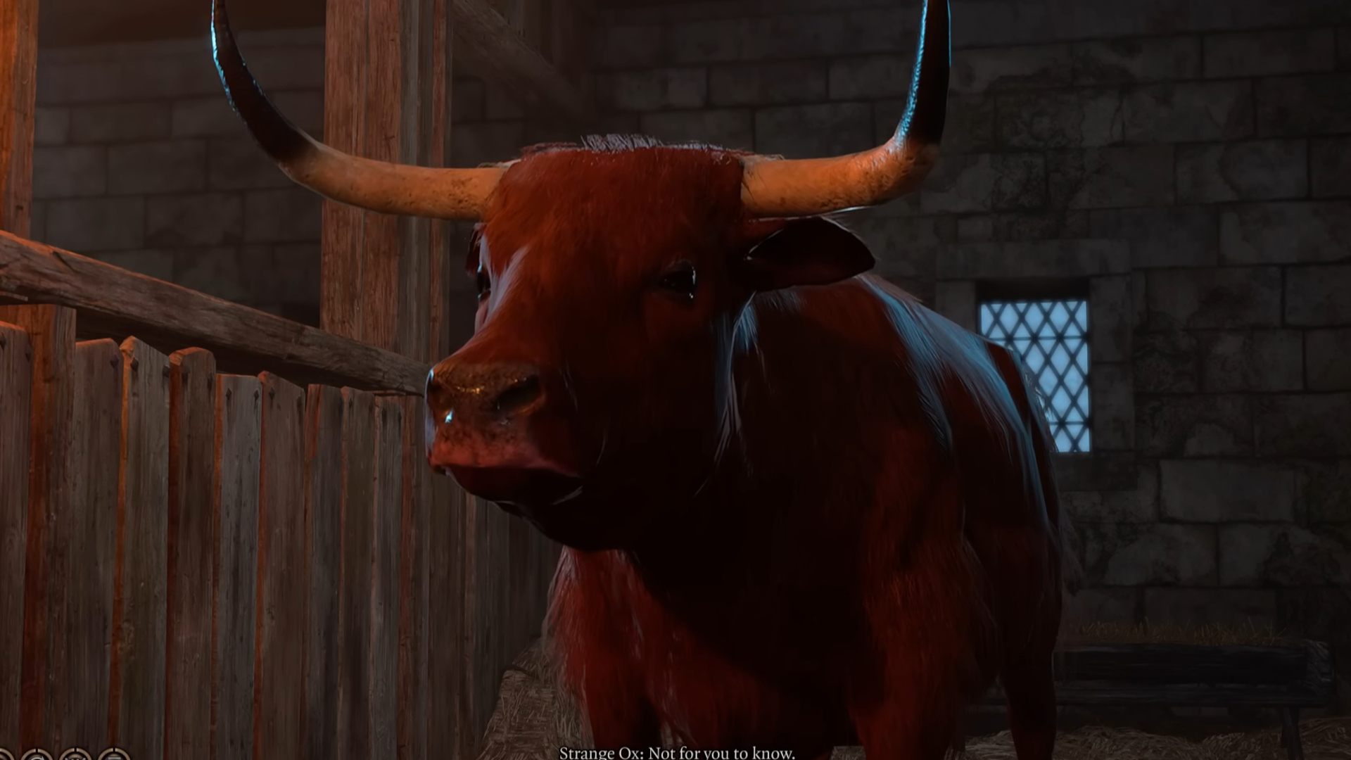 How to speak to the Strange Ox in Baldur's Gate 3?
