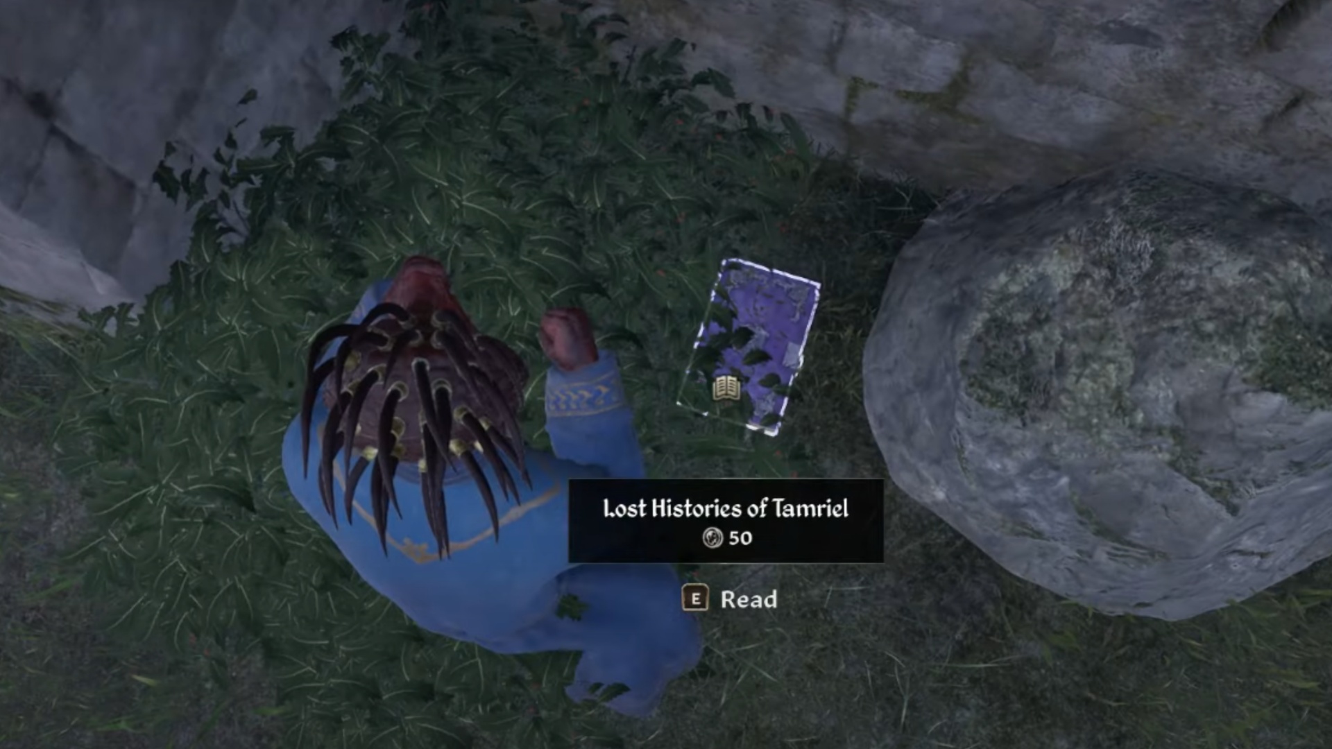 Lost Histories of Tamriel book (Image via Bethesda Softworks | ZaFrostPet/YouTube)
