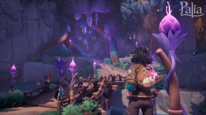 Palia Elderwood Expansion is here [Source: Singularity 6]