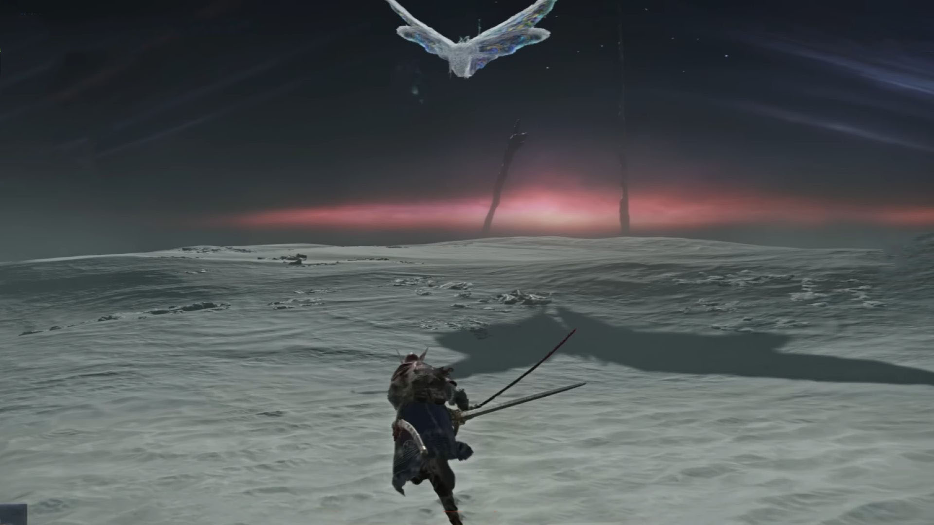 You can dual-wield weapons (Image via Bandai Namco Entertainment)