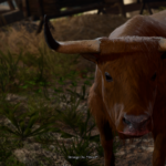 Strange Ox in Baldur's Gate [Source: Larian Studios]