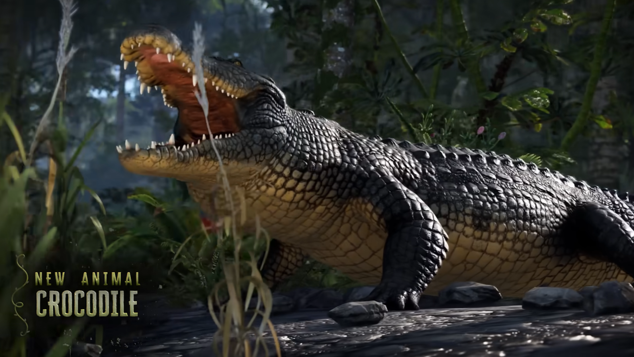 New Animals in the Jungle Update