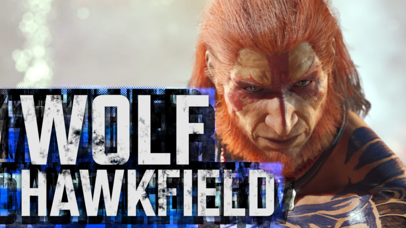 Wolf Hawkfield in Virtua Fighter Project