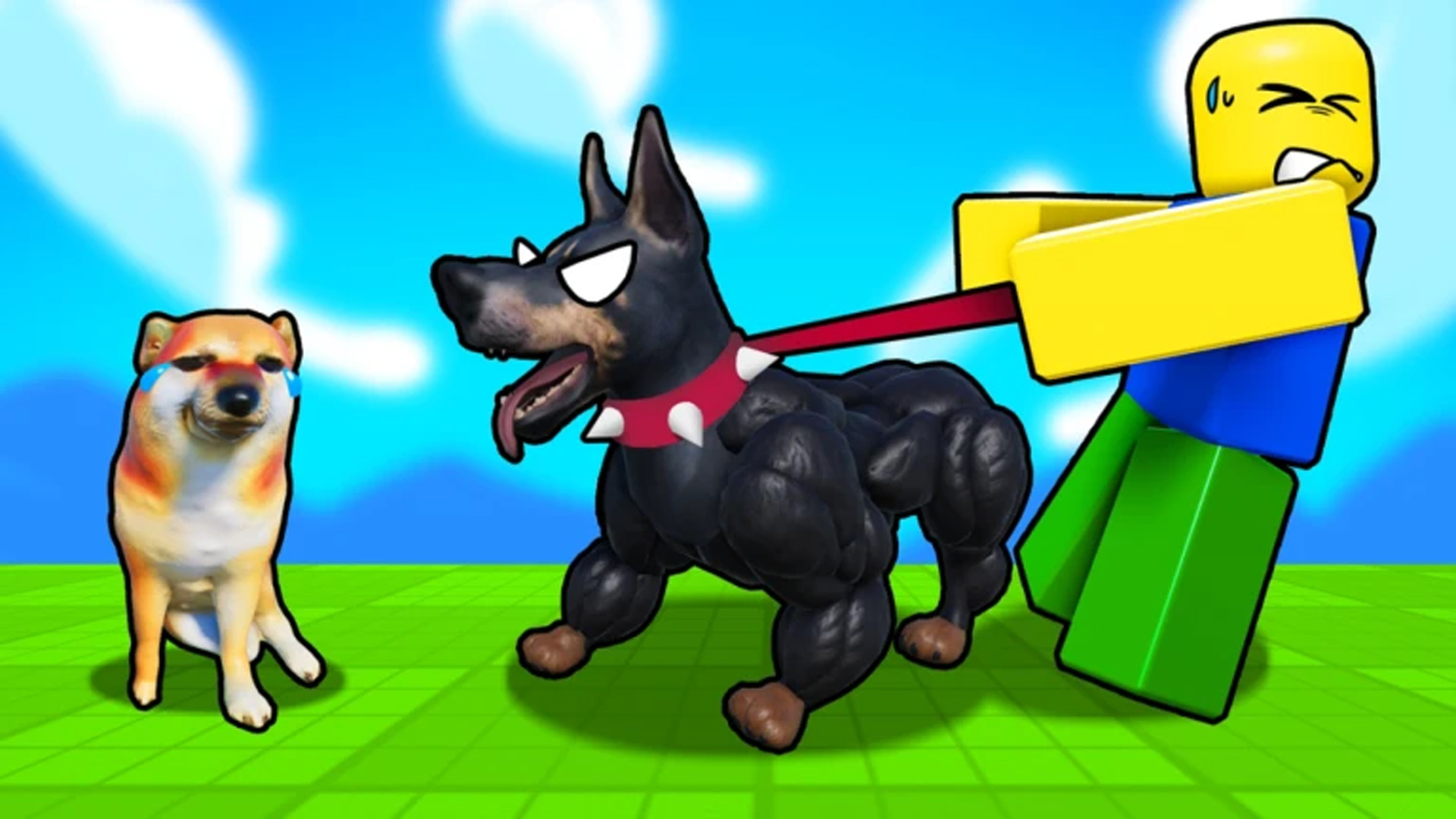 Train Dog To Fight (Image via Roblox Corporation)