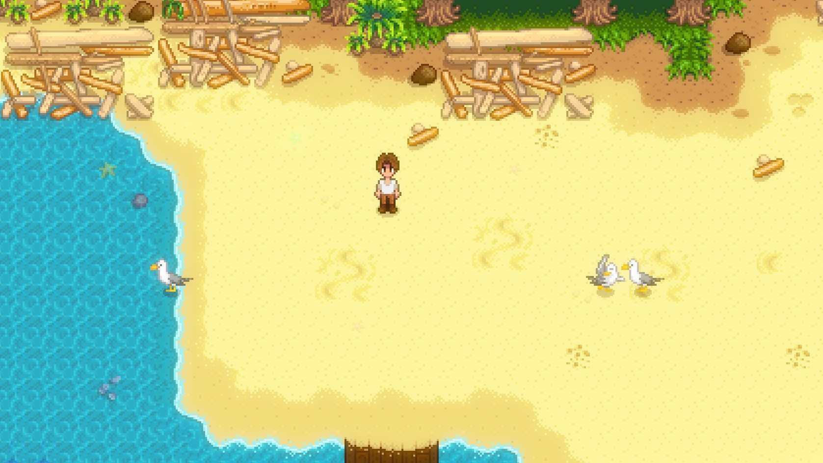 The Beach