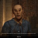 Faelian (Image via Bethesda)