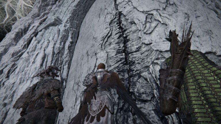Elden Ring Nightrein: How To Play Multiplayer (Source: Bandai Namco Entertainment)