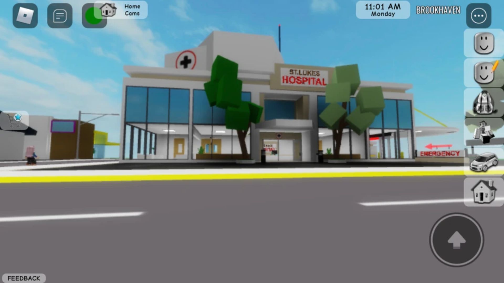 Brookhaven RP Hidden Locations (Source: Roblox)