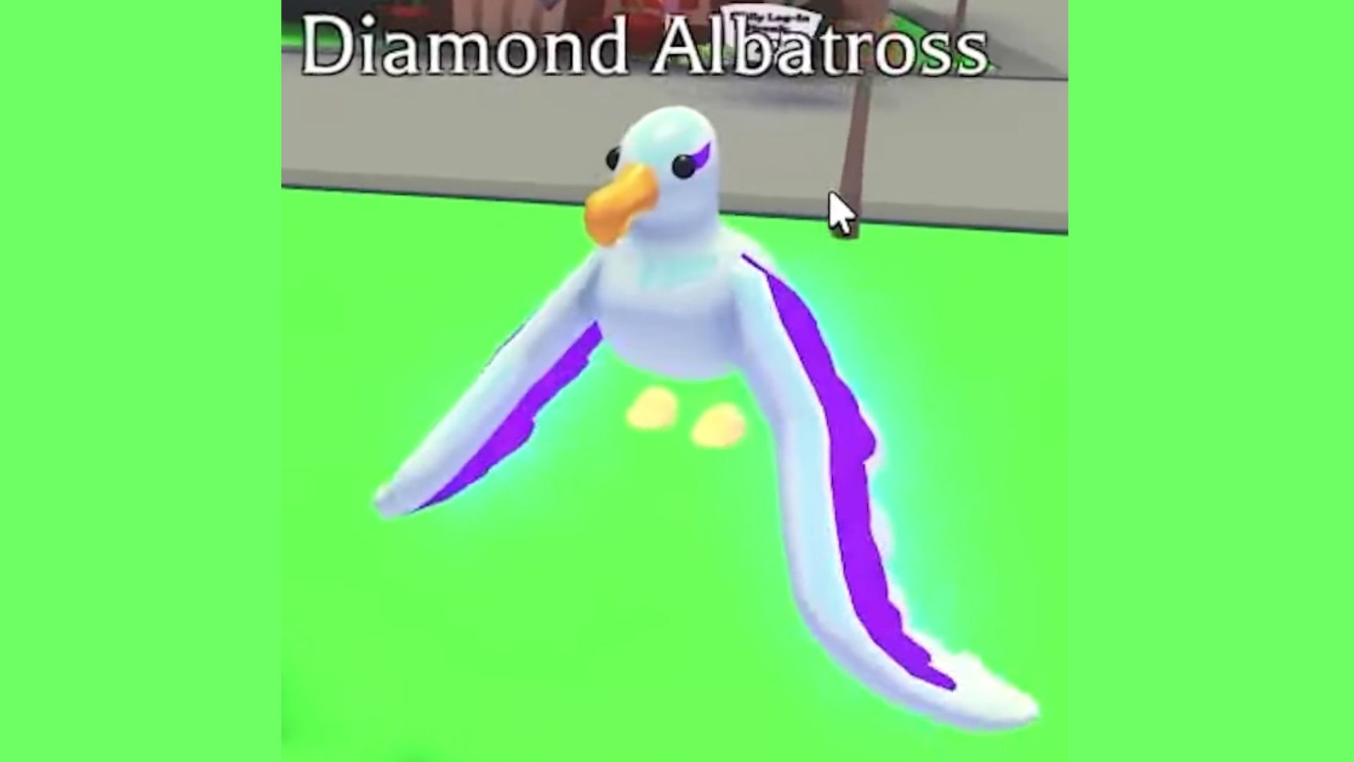 Diamond Albatross (Source: Roblox)