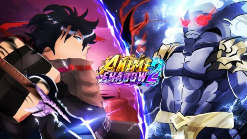Anime Shadow 2 Codes (Source: Roblox)