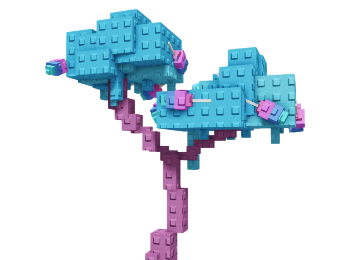 Candy Blossom seeds cost 10,000,000 Sheckles