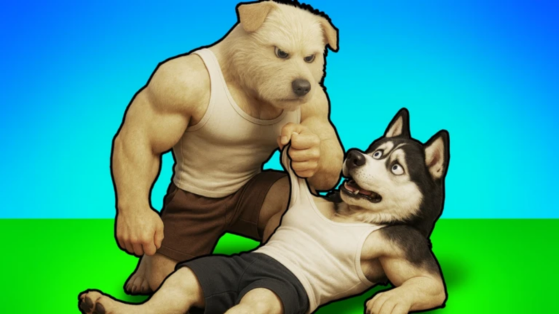 How To Play Train Dog To Fight