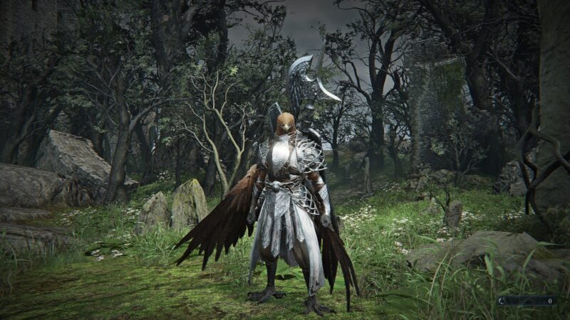 Elden Ring Nightreign (Image via FromSoftware)