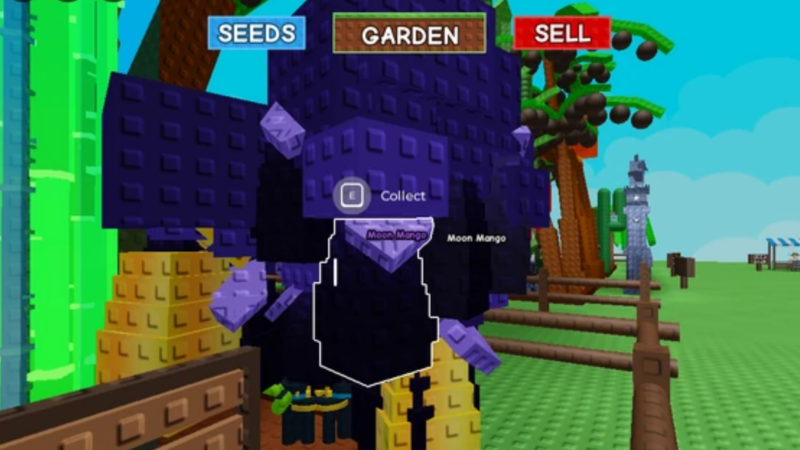 Grow a Garden: Moon Mango Buff Guide