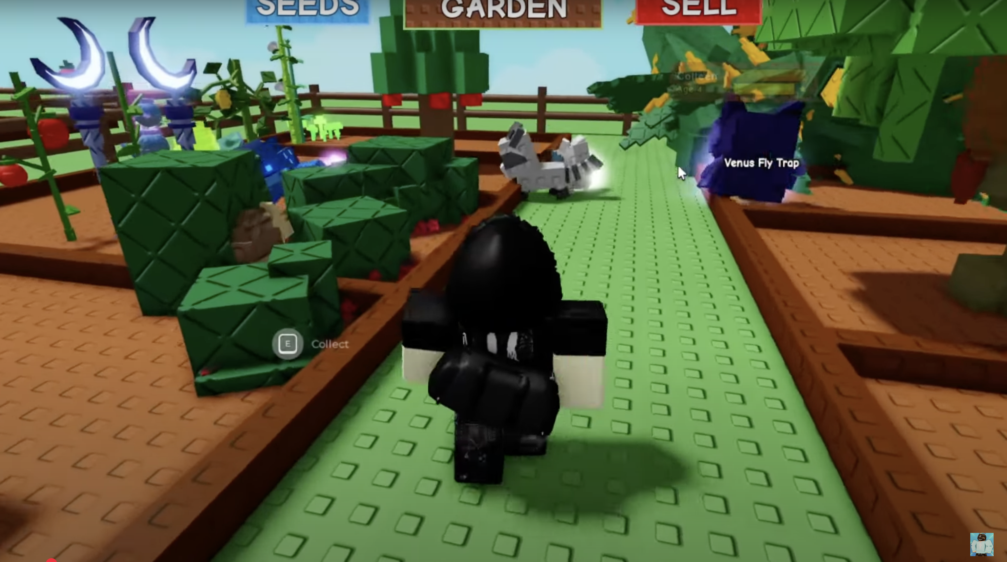 Grow a Garden Roblox