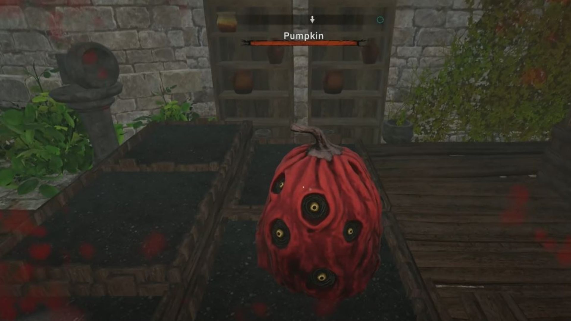 Tainted Grail: The Fall of Avalon: How to Find Pumpkin Seeds