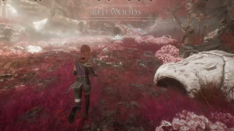 Clair Obscur Expedition 33: Red Woods Guide
