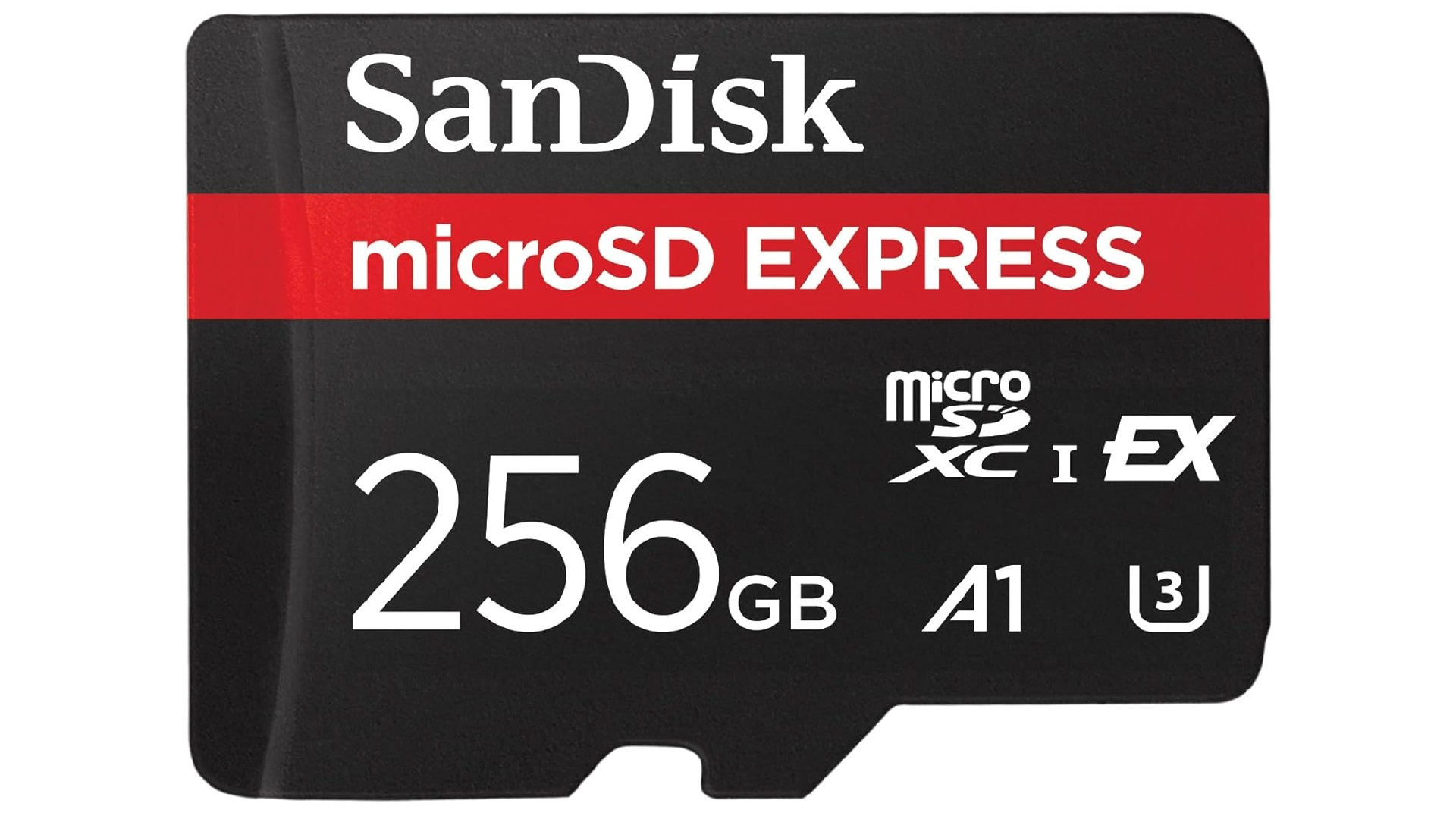 SanDisk 256GB microSD Card