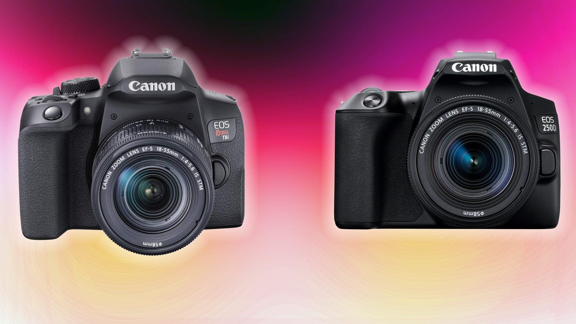 5 Best Entry-Level DSLR Cameras for Content Creators