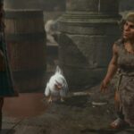 Chicken Chasing