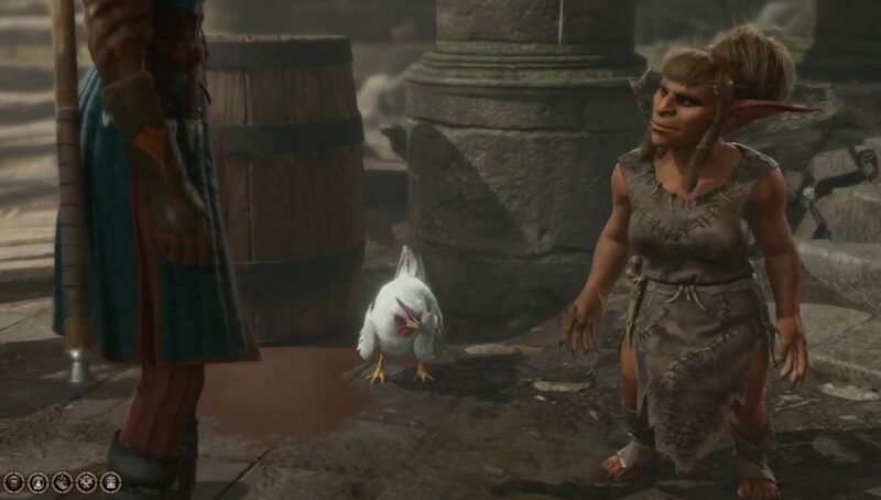 Chicken Chasing