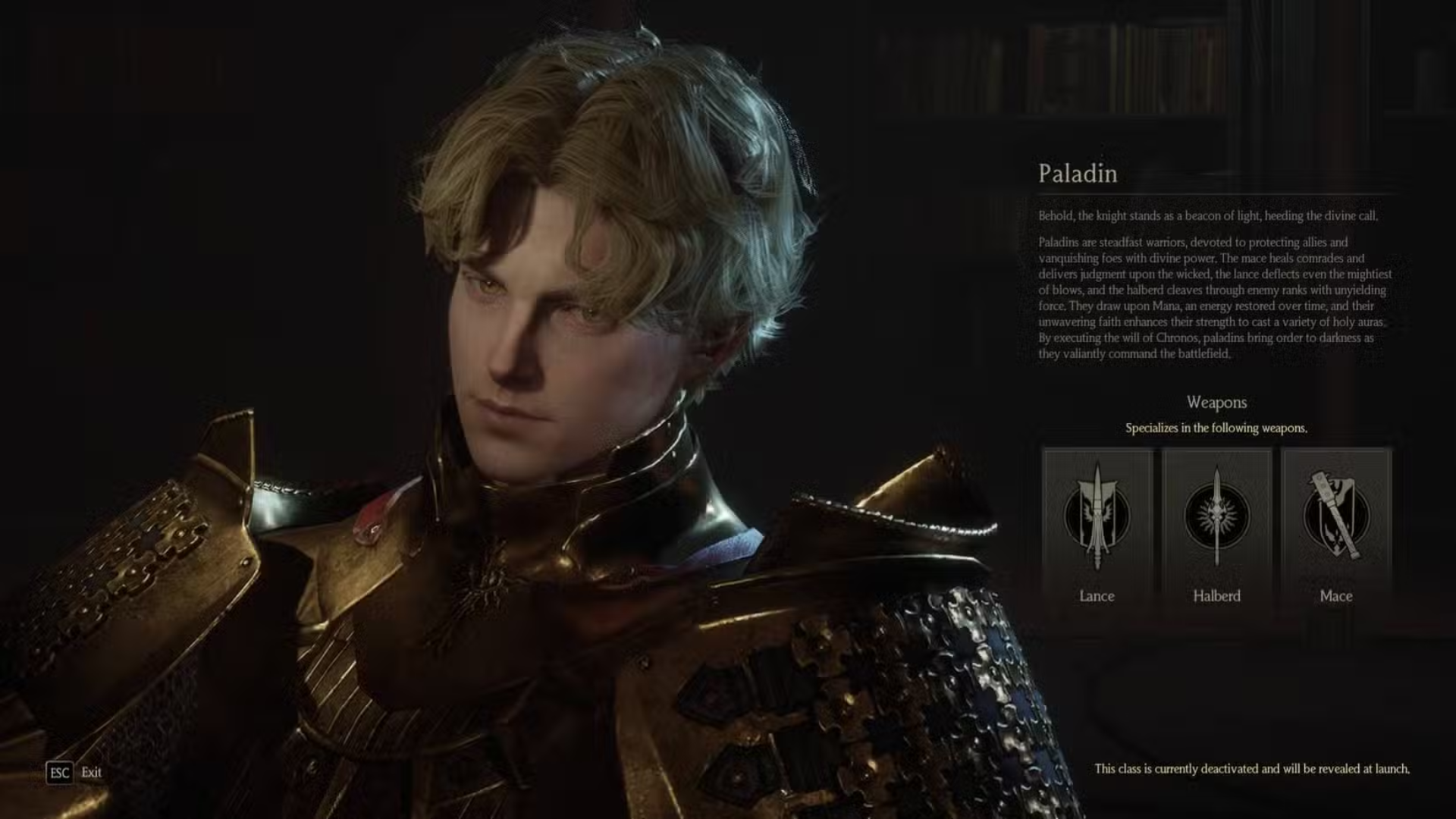 Chrono Odyssey Paladin