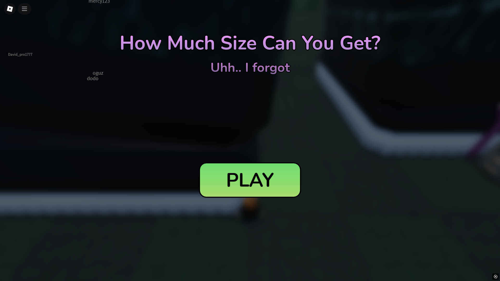 How Much Size Can You Get (Image via Roblox)