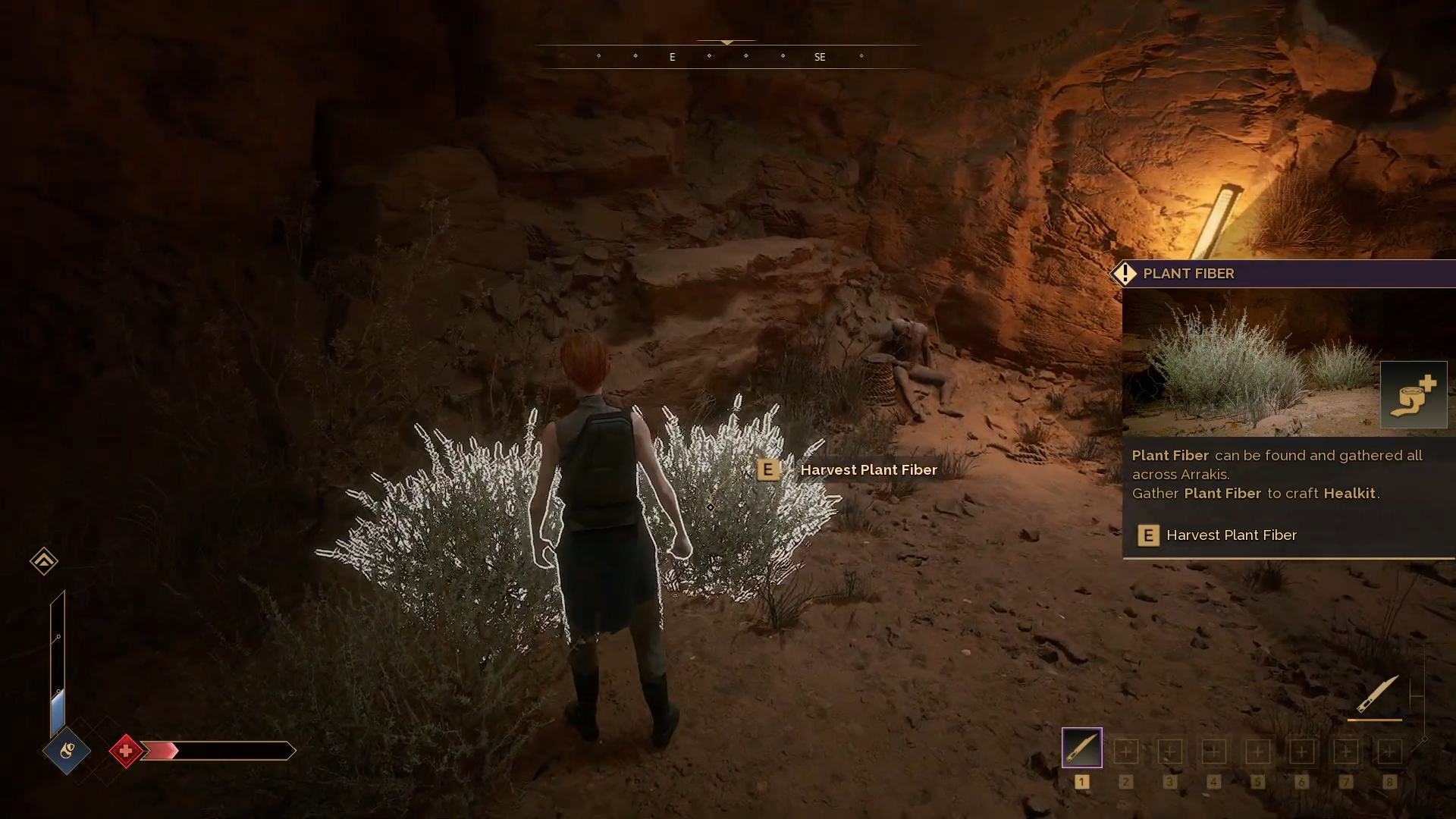You can heal your wounds with Plant Fiber. (Source: Funcom)