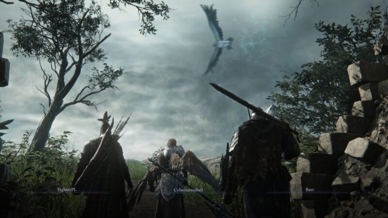 Elden Ring Nightreign Game Modes