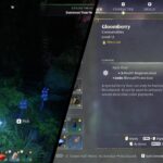 Enshrouded Gloomberry farm location guide feature image