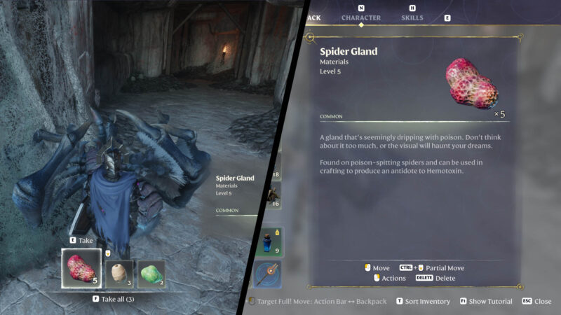 Enshrouded Spider Gland farm location guide feature image