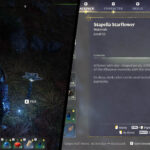 Enshrouded Stapelia Starflower farm location guide feature image