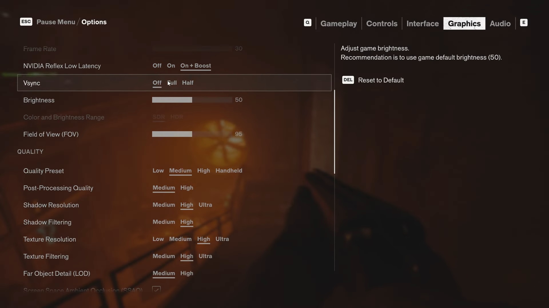 Picture of FBC: Firebreak graphics settings page