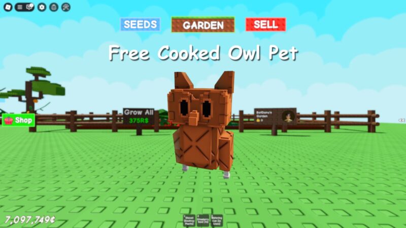 Free Cooked Owl Pet (Image via Canva)