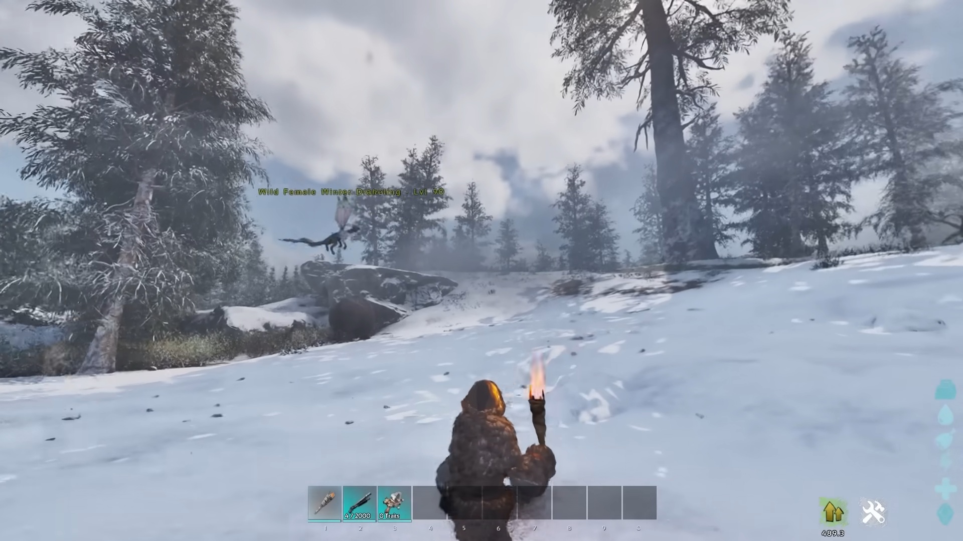 Holding out a torch to lure Drakeling_Sanyxs