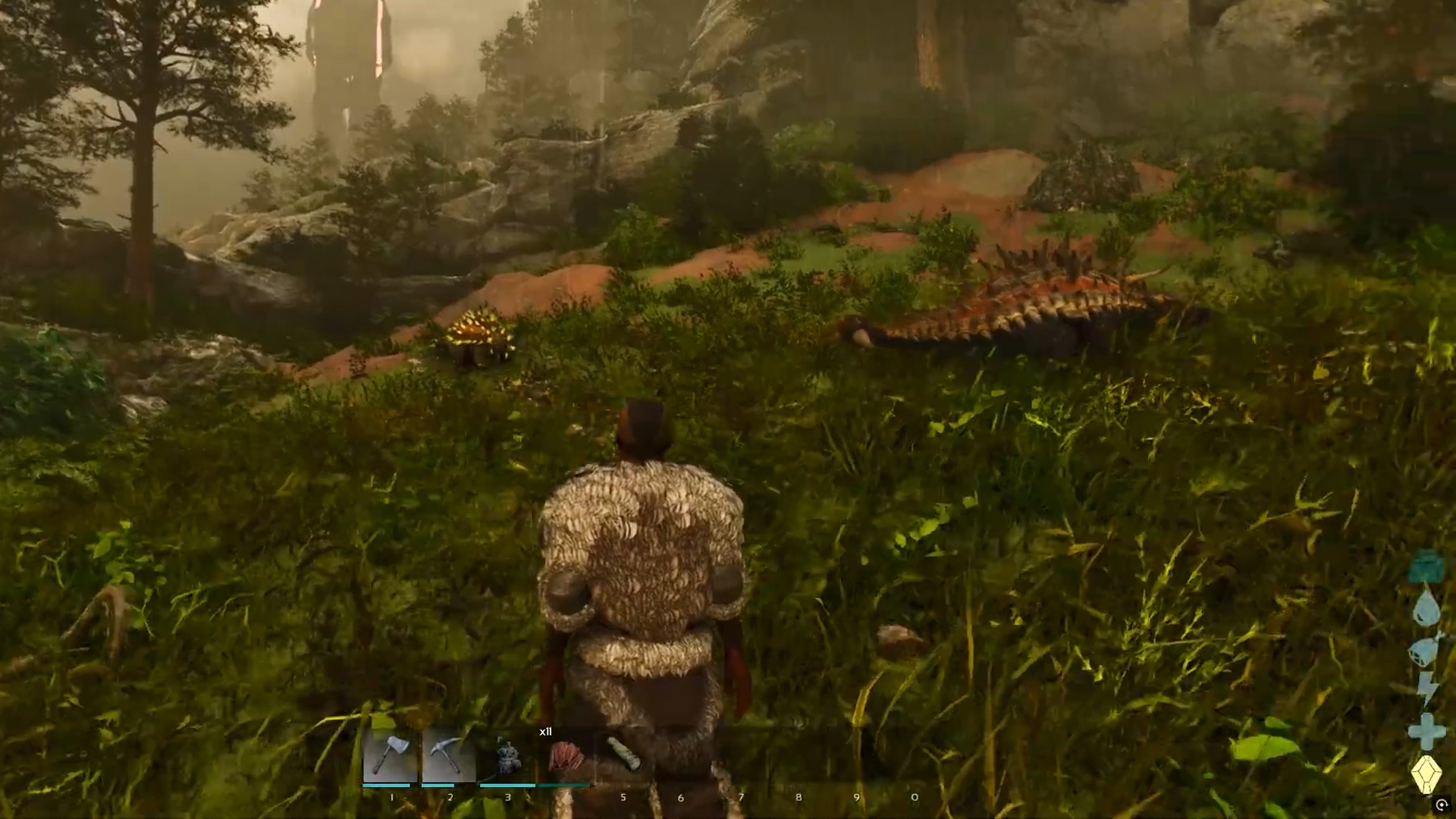 Multiple Ankylosaurus roaming around (49.1, 88.2)