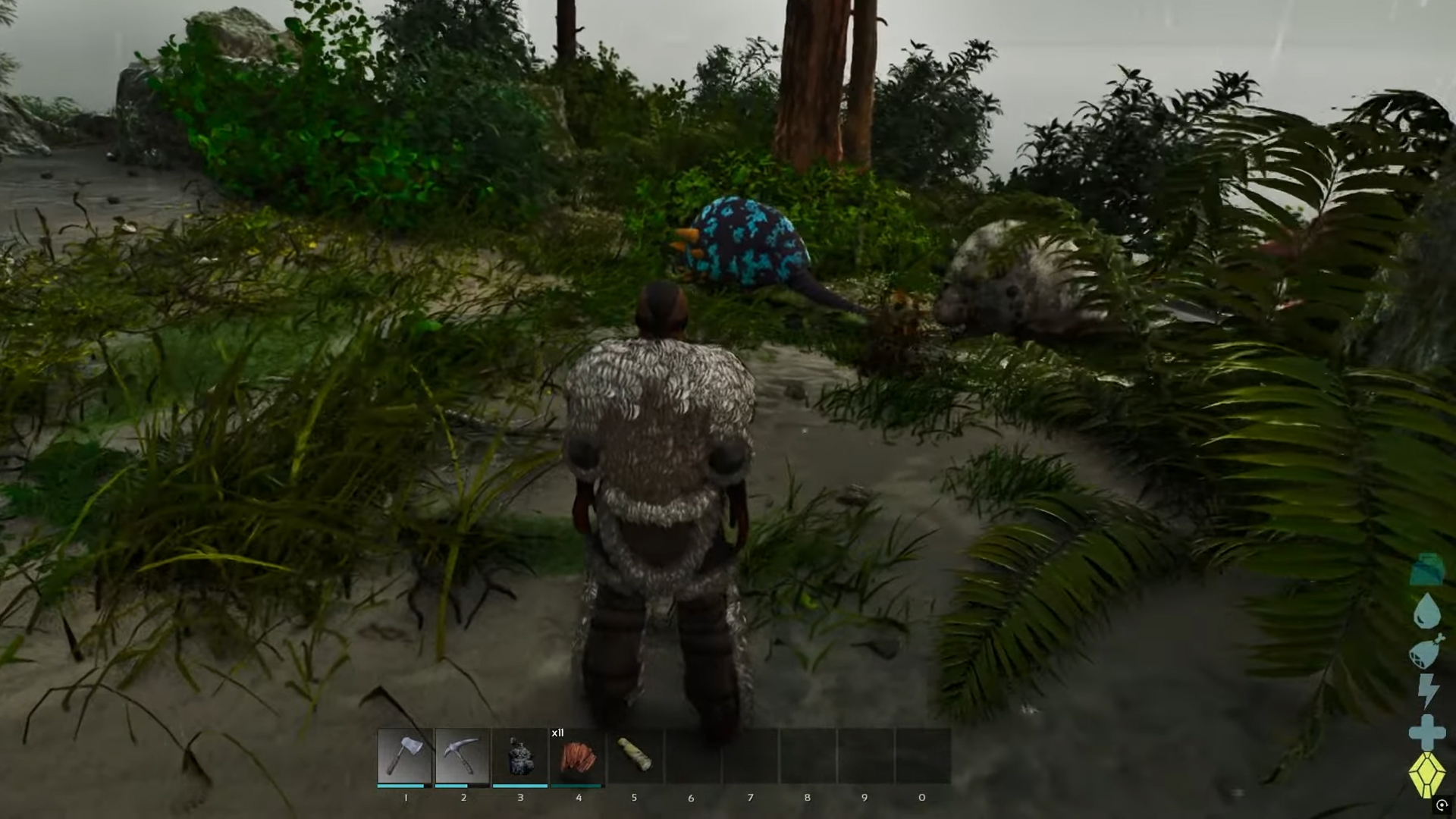 You can find multiple Doedicurus in the island at coordinates (40.4, 92.3)