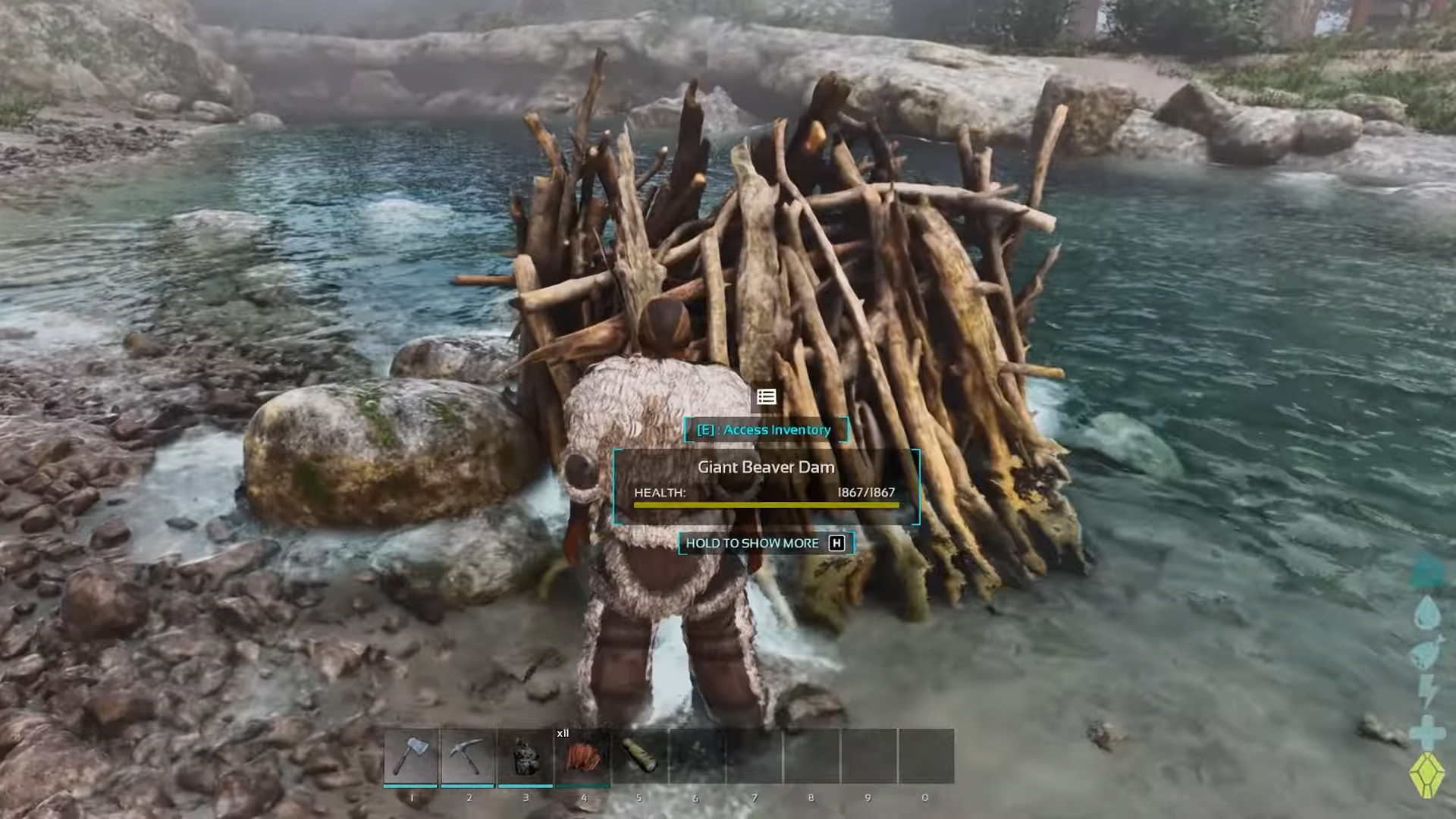 A Giant Beaver Dam